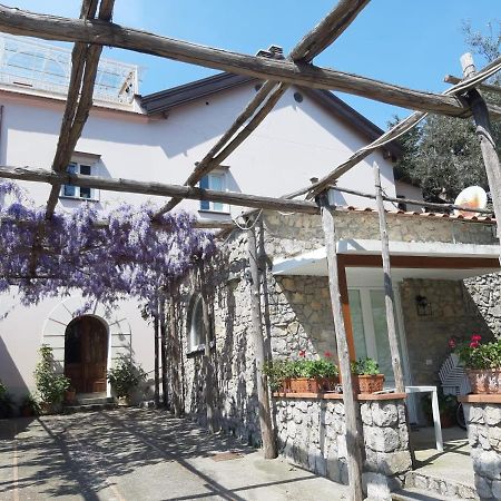 Shedir Apartment Vico Equense Exterior photo