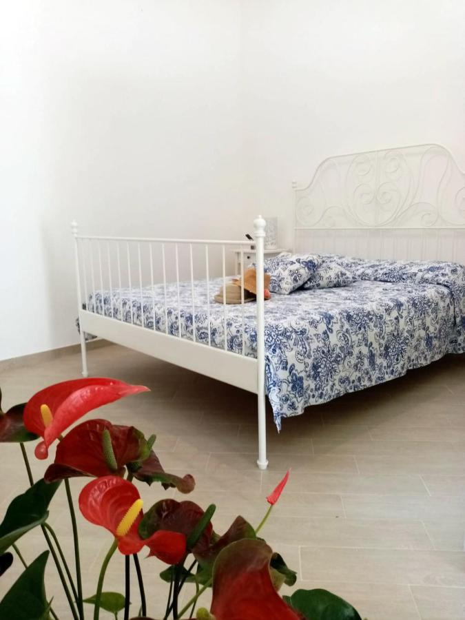 Shedir Apartment Vico Equense Exterior photo