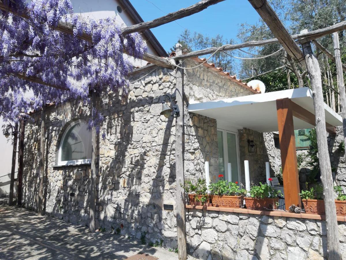 Shedir Apartment Vico Equense Exterior photo